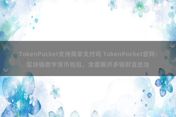 TokenPocket支持商家支付吗 TokenPocket官网：区块链数字货币钱包，全面赈济多链财富处治