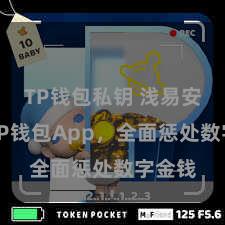 TP钱包私钥 浅易安全的TP钱包App，全面惩处数字金钱
